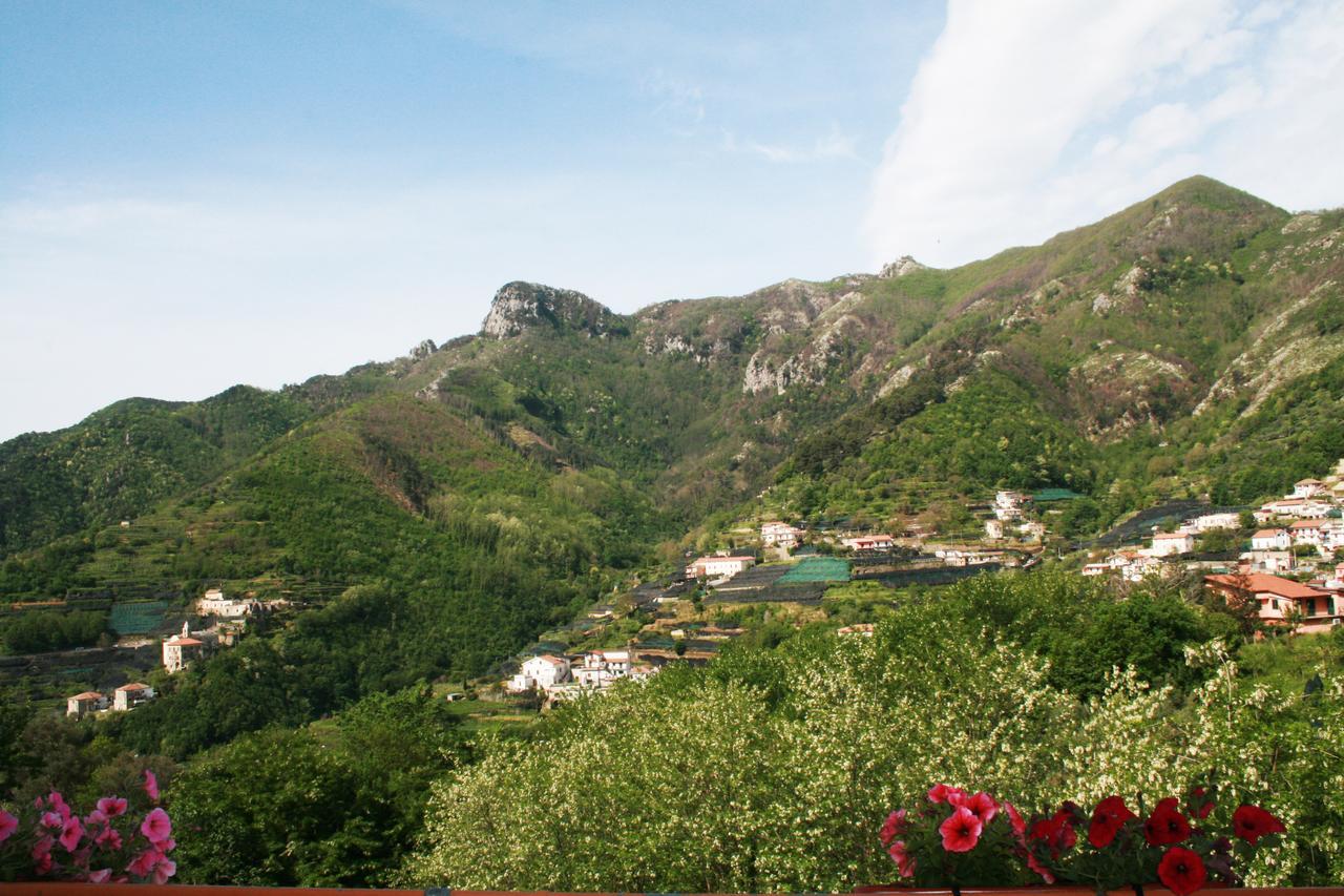 トラモンティ Tra I Monti Bed & Breakfast エクステリア 写真
